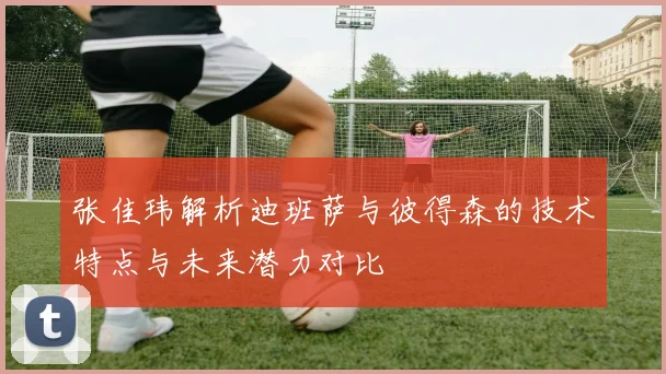 张佳玮解析迪班萨与彼得森的技术特点与未来潜力对比